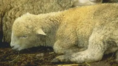 Zakon.kz, фото - Новости Zakon.kz от 14.04.2017 17:17