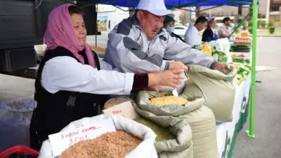 Zakon.kz, фото - Новости Zakon.kz от 02.09.2016 20:32