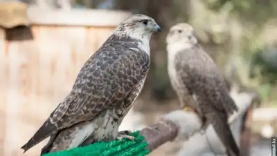 Zakon.kz, фото - Новости Zakon.kz от 03.11.2017 12:57