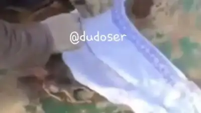 Zakon.kz, фото - Новости Zakon.kz от 19.02.2016 15:41