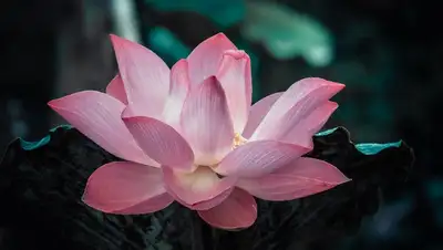 видео блогер Атырауская область, фото - Новости Zakon.kz от 12.08.2022 18:03