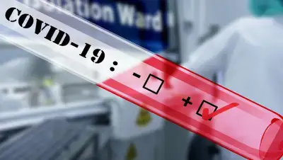 Pixabay, фото - Новости Zakon.kz от 18.06.2020 18:39