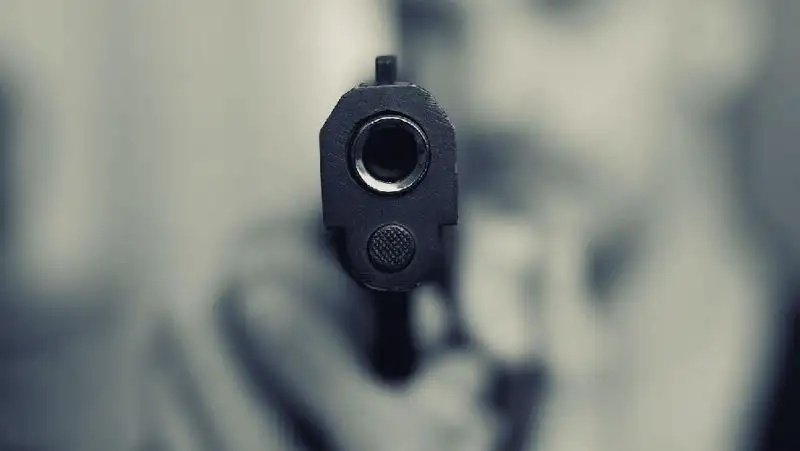 Задержан мужчина, разгуливавший с оружием по Экибастузу