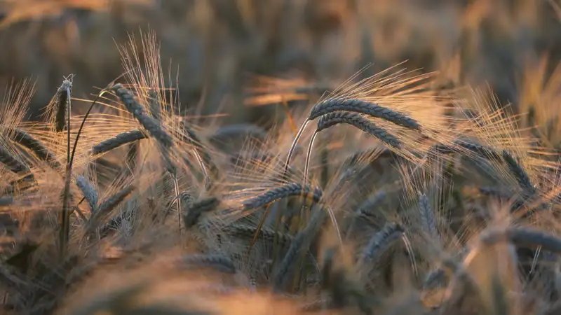 Депутат назвал меру, которая будет сдерживать инфляцию