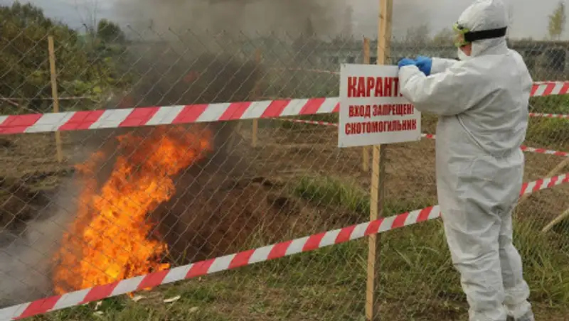 В скотомогильниках Арыси сибирской язвы нет