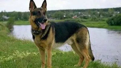 Zakon.kz, фото - Новости Zakon.kz от 20.08.2014 21:36