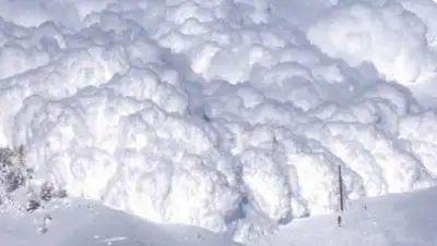 Zakon.kz, фото - Новости Zakon.kz от 15.12.2015 05:50