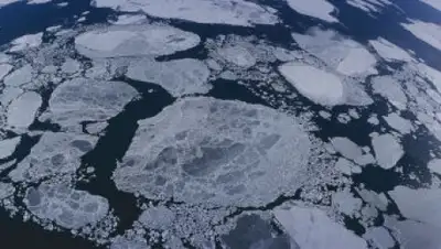 Zakon.kz, фото - Новости Zakon.kz от 03.12.2014 18:26