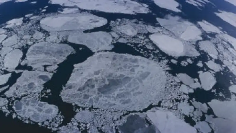 Найдены тела 11 моряков с южнокорейского траулера