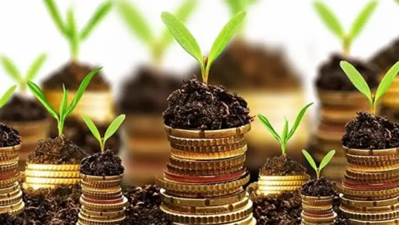 Алматы облысында ж&#1199;здеген шаруа &#1179;ожалы&#1179; иелері биыл &#1179;ып-&#1179;ызыл шы&#1171;ын&#1171;а бат&#1179;алы отыр