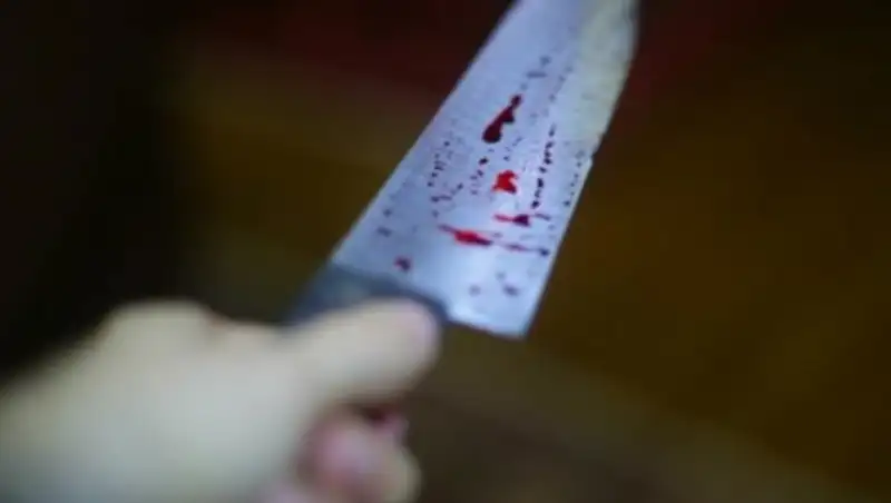 В Алматинской области два студента колледжа устроили поножовщину