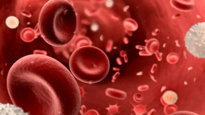 Ученые нашли лекарство от рака