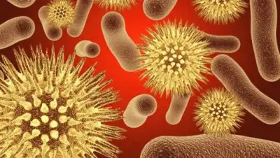 Zakon.kz, фото - Новости Zakon.kz от 27.10.2016 02:25