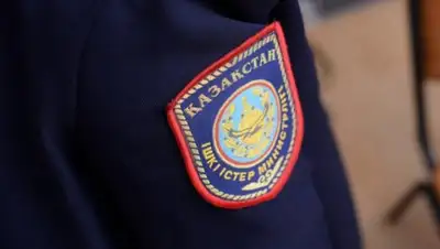 Patrul.kz, фото - Новости Zakon.kz от 24.01.2020 17:31