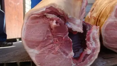 Zakon.kz, фото - Новости Zakon.kz от 25.12.2015 21:12