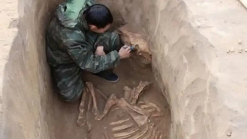 Подробности о найденной средневековой колеснице рассказали павлодарские археологи