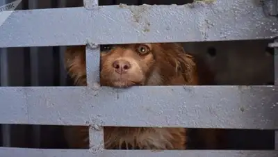 Zakon.kz, фото - Новости Zakon.kz от 22.08.2017 14:15