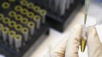 Zakon.kz, фото - Новости Zakon.kz от 24.06.2016 18:52