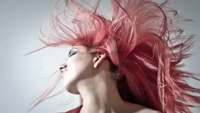 pixabay.com, фото - Новости Zakon.kz от 18.04.2021 10:16