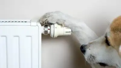 Zakon.kz, фото - Новости Zakon.kz от 04.10.2017 13:42