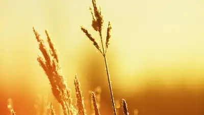 Zakon.kz, фото - Новости Zakon.kz от 24.07.2017 18:01