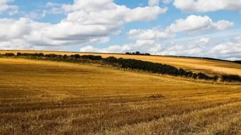 Свыше 1,4 млн га неиспользуемых земель выявили в ЗКО за три года