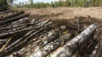 Zakon.kz, фото - Новости Zakon.kz от 22.09.2016 23:44