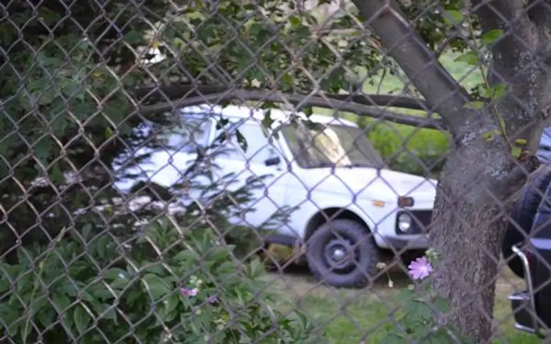 niva_eger, фото - Новости Zakon.kz от 15.08.2012 17:49