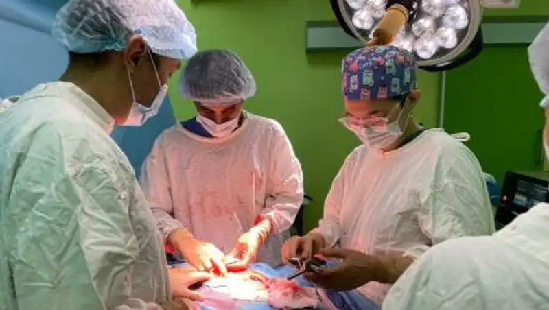 Самая загадочная онкология