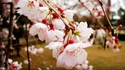 Zakon.kz, фото - Новости Zakon.kz от 27.04.2014 20:52