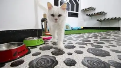 Essam Al Sudani / Reuters, фото - Новости Zakon.kz от 01.04.2018 13:25