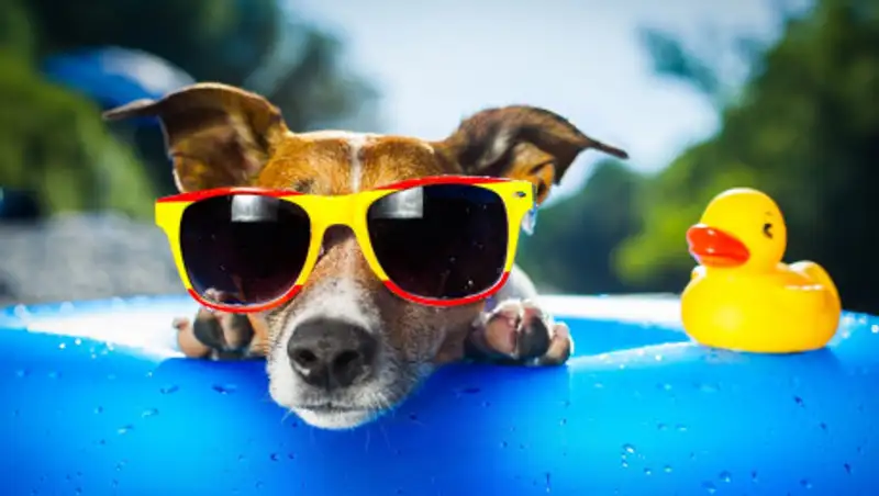 Сильную жару и грозы обещают синоптики на четверг