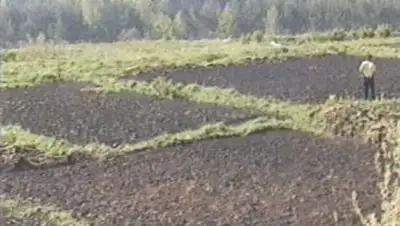 Zakon.kz, фото - Новости Zakon.kz от 14.11.2013 23:40