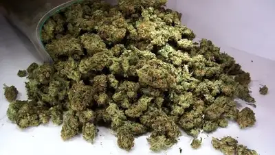 Zakon.kz, фото - Новости Zakon.kz от 02.09.2017 09:44