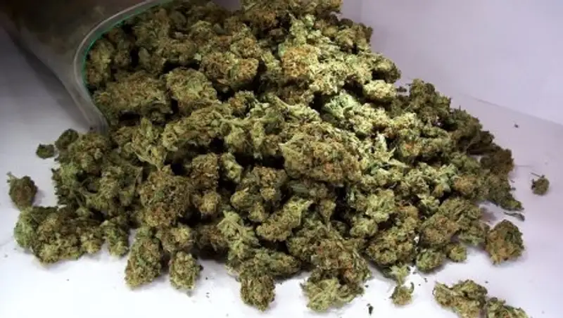 В Акмолинской области сельчанин хранил 1 кг марихуаны