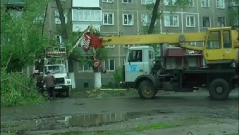 Ураган в  СКО  - сильный ветер повалил деревья, оборвал электрические провода