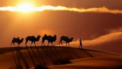 Zakon.kz, фото - Новости Zakon.kz от 01.04.2016 22:48