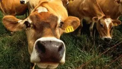 Zakon.kz, фото - Новости Zakon.kz от 18.02.2014 17:09