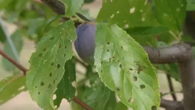 Zakon.kz, фото - Новости Zakon.kz от 06.05.2016 17:40