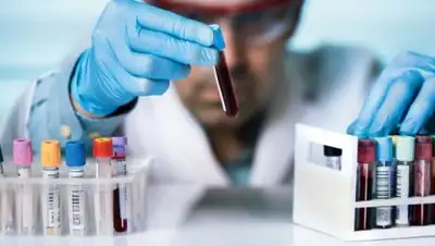 frendi.ru, фото - Новости Zakon.kz от 02.10.2018 09:22