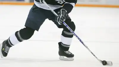 pixabay.com, фото - Новости Zakon.kz от 04.11.2019 15:04