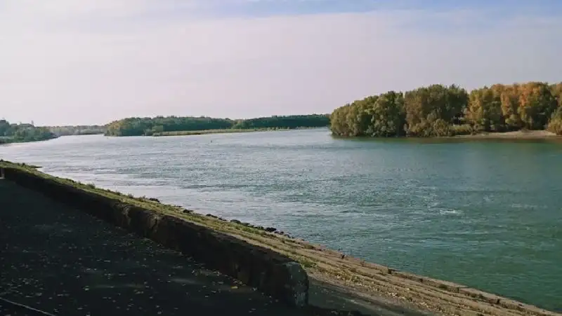 В Усть-Каменогорске выяснили причину мутной воды и едкого запаха в протоке Иртыша