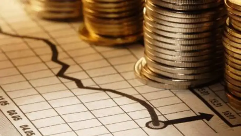 Приняты поправки в бюджет на 2020 год. На что уйдут дополнительные деньги