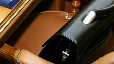 из открытых источников, фото - Новости Zakon.kz от 17.01.2019 17:23