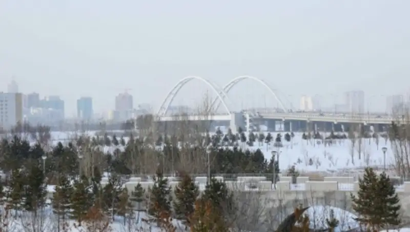 В 2016 году вокруг столицы высадят свыше 350 тысяч сеянцев