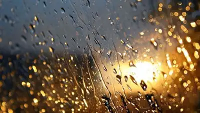 vistanews.ru, фото - Новости Zakon.kz от 08.04.2018 09:29