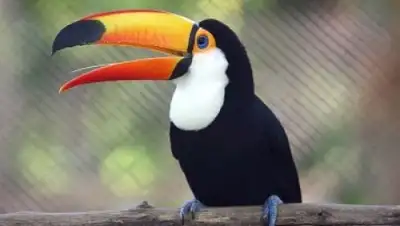 Zakon.kz, фото - Новости Zakon.kz от 07.06.2015 21:39