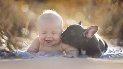 adme.ru, фото - Новости Zakon.kz от 24.02.2018 14:00