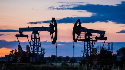 Zakon.kz, фото - Новости Zakon.kz от 10.09.2015 17:13