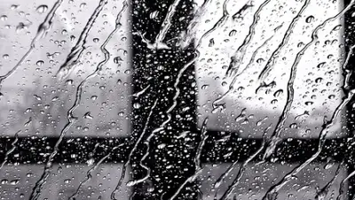 Zakon.kz, фото - Новости Zakon.kz от 28.04.2015 13:31